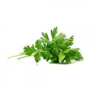 Perejil en bolsita de  70 Gr