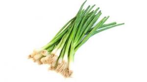 Cebollita De Verdeo x Mazo