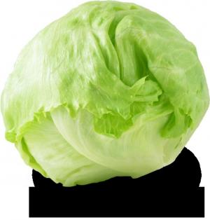 Lechuga Repollada x 225g aprox
