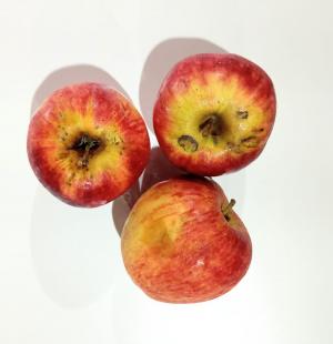 Manzana (2DA SELECCIÓN - golpes) x 1 kg