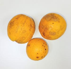 Naranja x 1kg (2DA SELECCION - blanda -marcas)