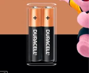Pila Duracell AAA x 2 Un