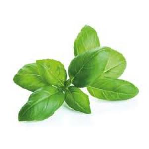 Hojas de Albahaca x 40 Gr