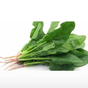 Rucula Mazo Aproximadamente 80G