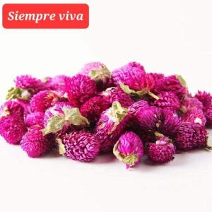 Flores Siempre viva Bolsita x25 Gr