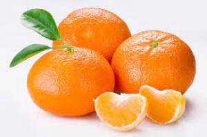 Mandarina el kg a