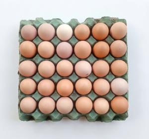 Huevos Ecológicos Color La Sofia x Mapple 30 un