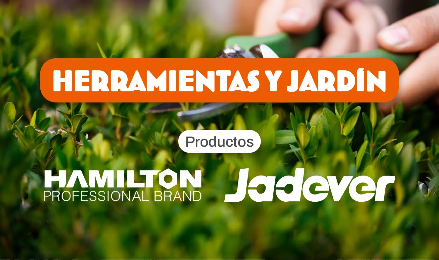 jardin y herramientas