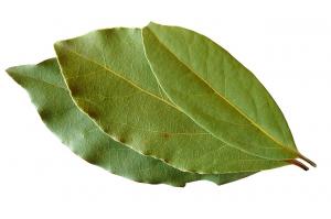 Hojas de Laurel 40g Aprox